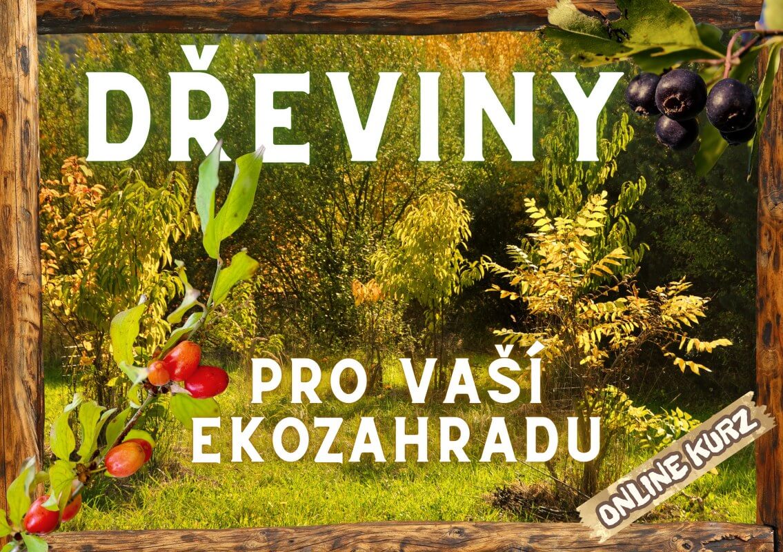 Dřeviny pro vaší ekozahradu