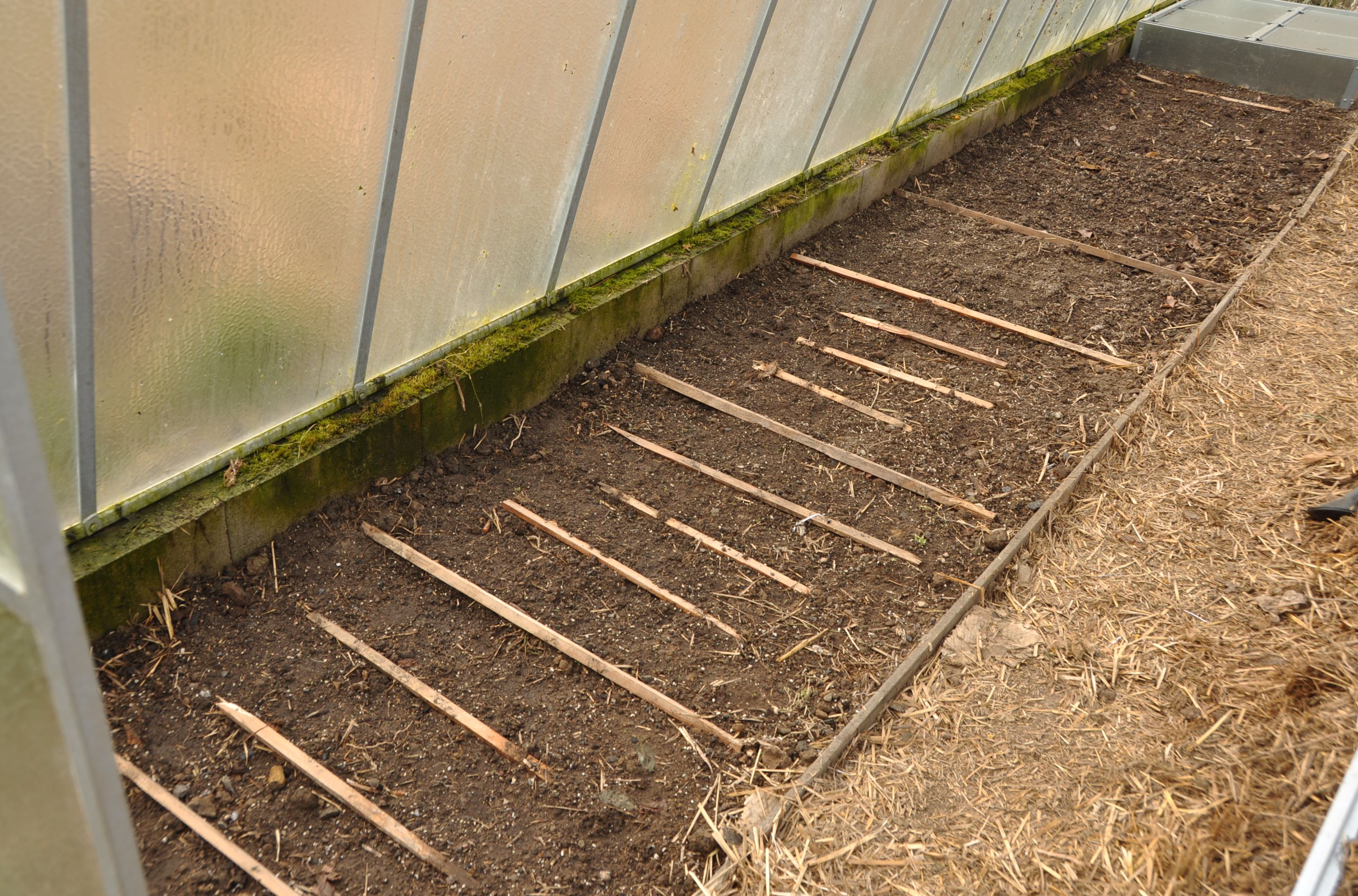 Výsevy pro zimní a jarní sklizně